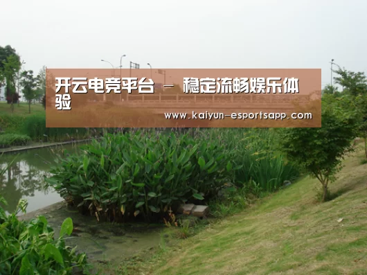 案例展示四(图1)