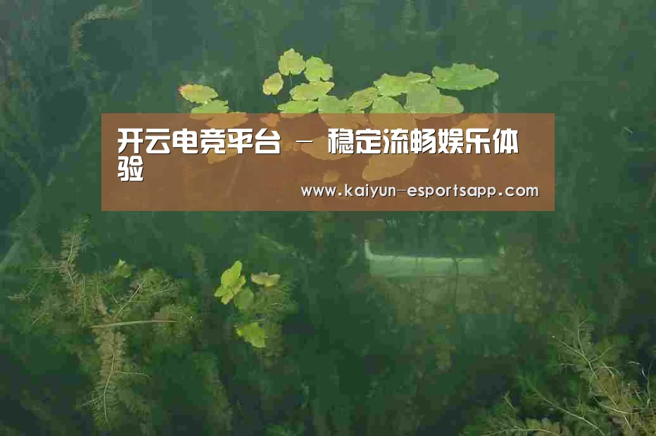 案例展示三(图1)