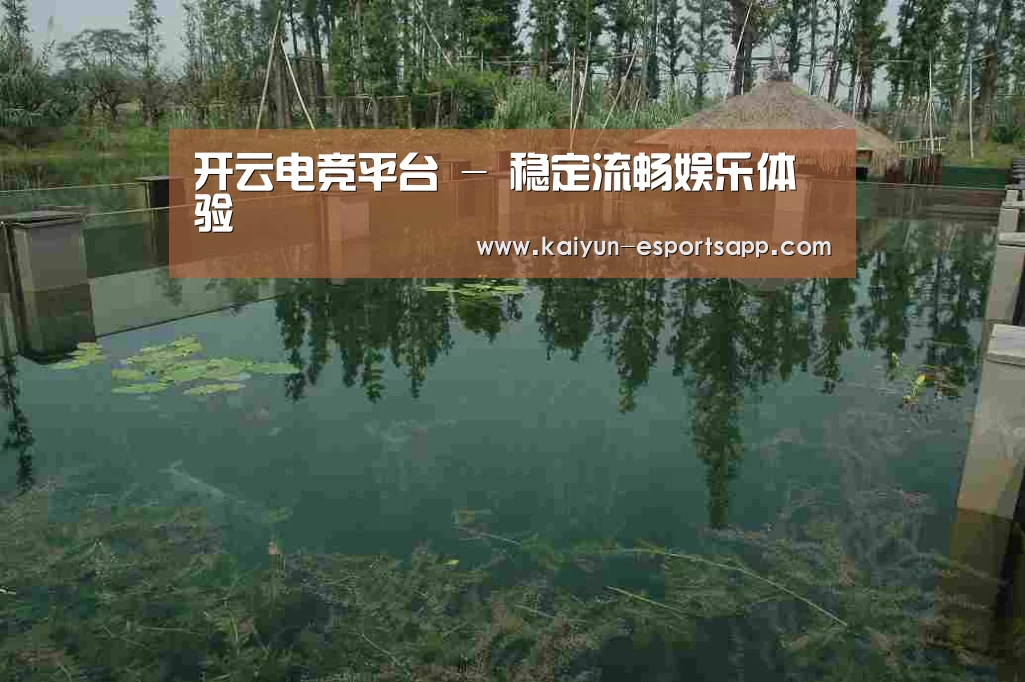 案例展示二(图1)
