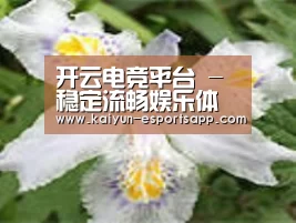 产品名称二