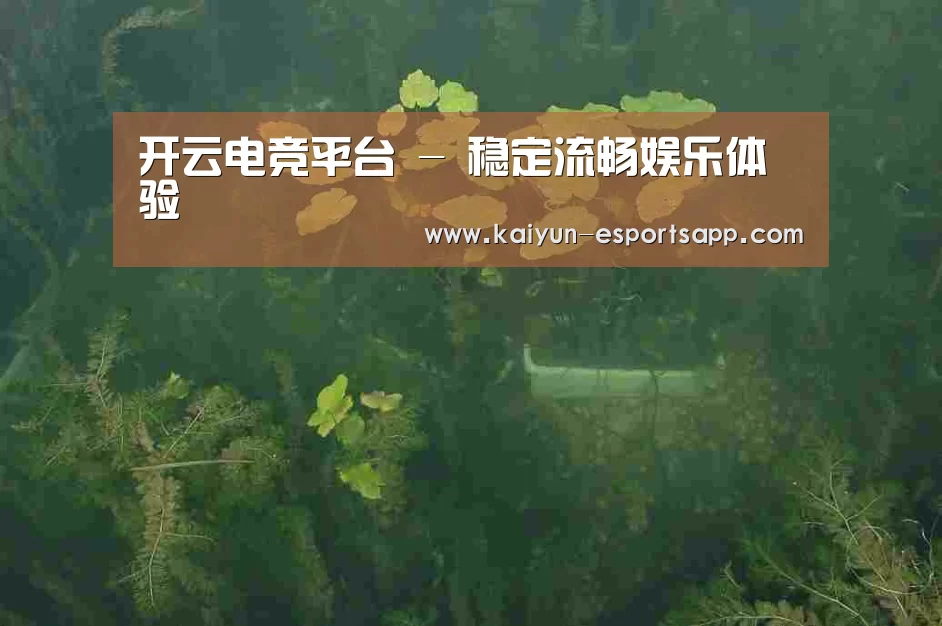 案例展示三