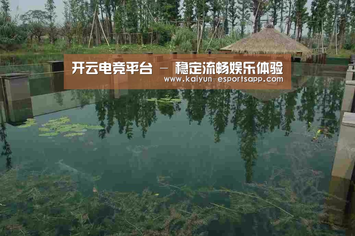 案例展示二