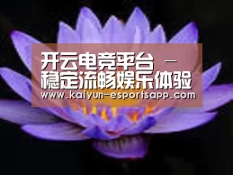 产品名称六