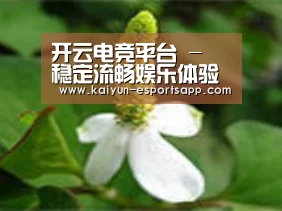 产品名称三