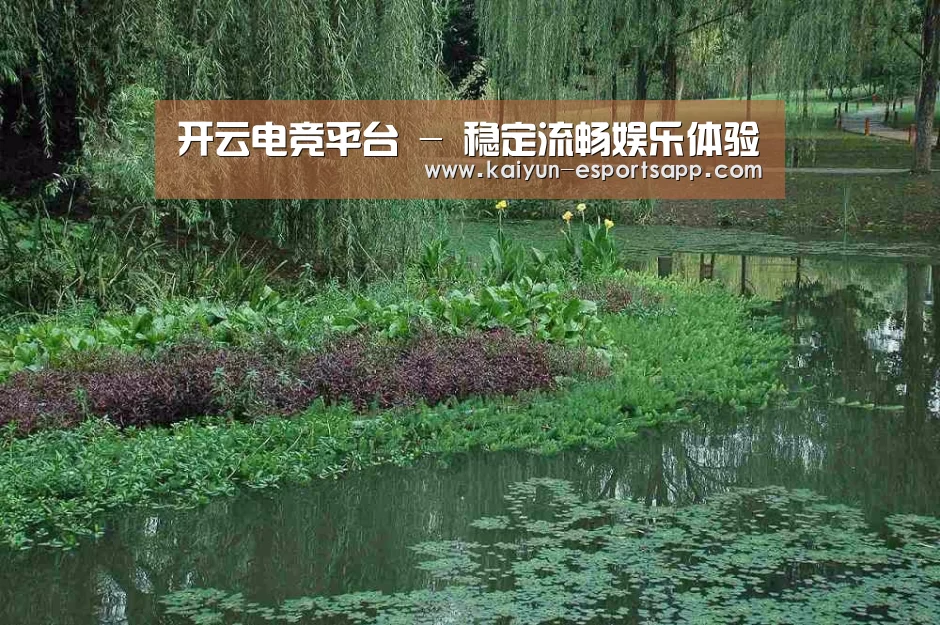 案例展示一
