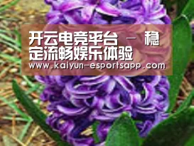 产品名称八