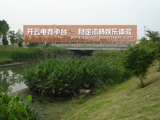 案例展示四