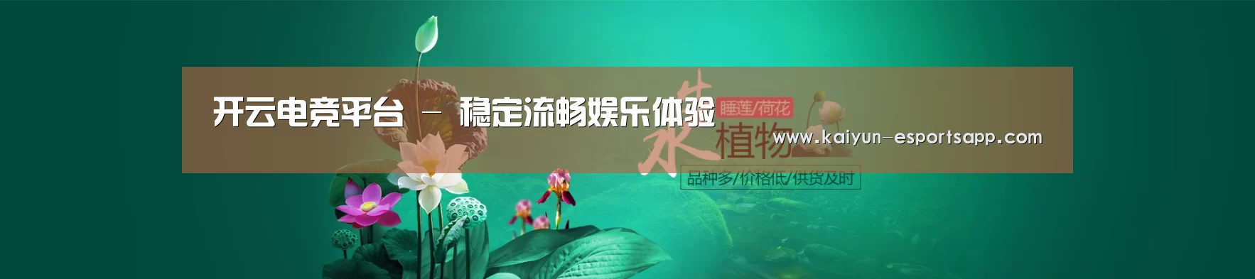 鲜花水草花卉网站模板