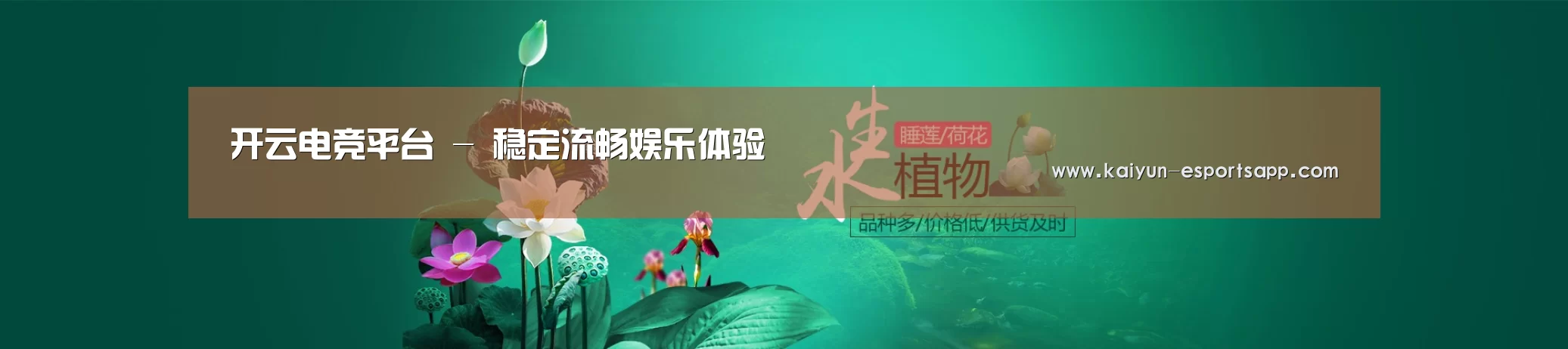 鲜花水草花卉网站模板