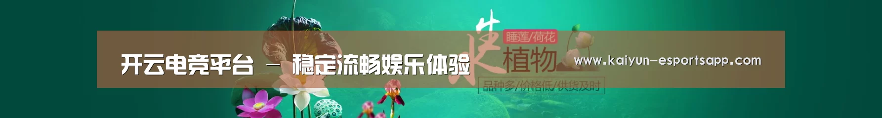 鲜花水草花卉网站模板