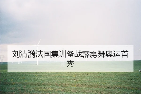 liu-qing-yi-fa-guo-ji-xun-bei-zhan-pi-li-wu-ao-yun-shou-xiu-3-338.jpg