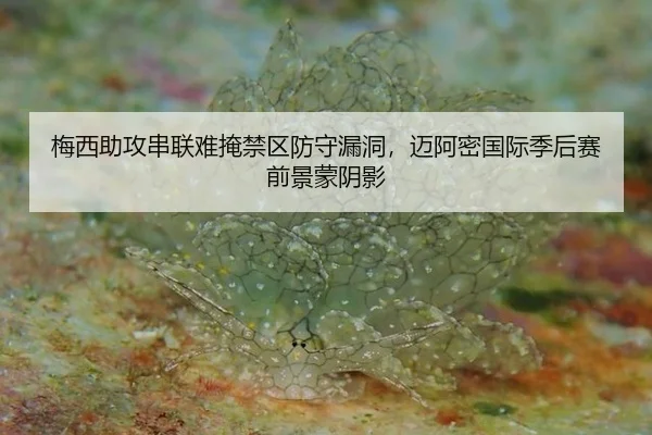 mei-xi-zhu-gong-chuan-lian-nan-yan-jin-qu-fang-shou-lou-dong-mai-a-mi-guo-ji-ji-hou-sai-qian-jing-meng-yin-ying-3-844.jpg
