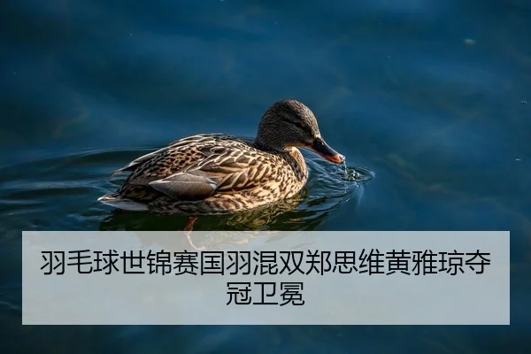 yu-mao-qiu-shi-jin-sai-guo-yu-hun-shuang-zheng-si-wei-huang-ya-qiong-duo-guan-wei-mian-2-380.jpg