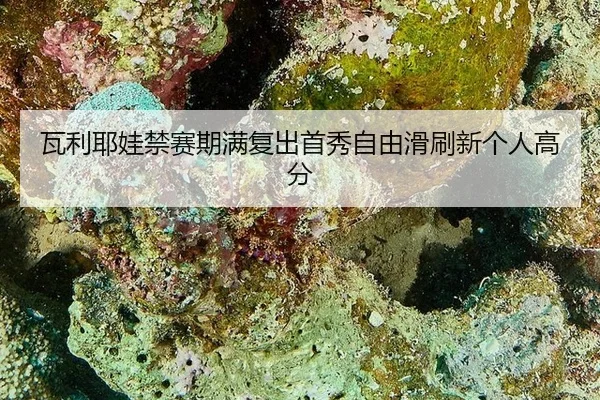wa-li-ye-wa-jin-sai-qi-man-fu-chu-shou-xiu-zi-you-hua-shua-xin-ge-ren-gao-fen-2-195.jpg