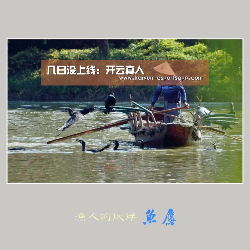 开云娱乐