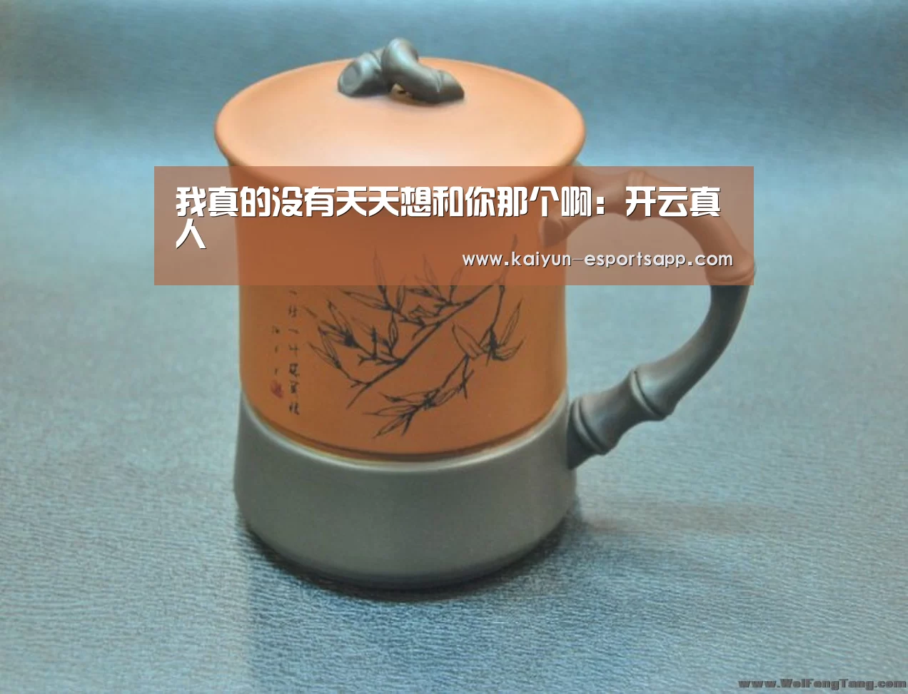 我真的没有天天想和你那个啊:开云真人(图1) 开云平台